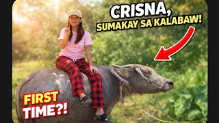 Download lagu Krisna, sumakay sa KALABAW! #pekengkoreana  #pugongbyahero  mp3