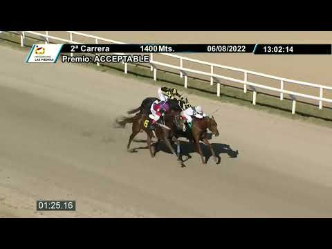 220806 c02 - FLAMENCO - HIPODROMO LAS PIEDRAS