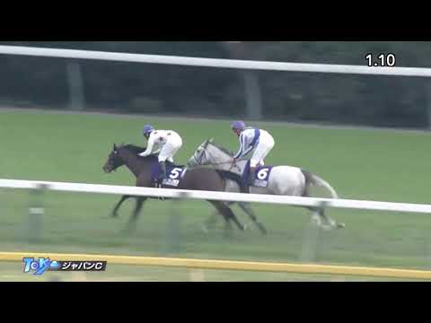 ジャパンカップ　2018.11.25