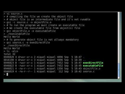 Source Object And Executable Code File