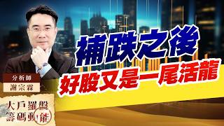 補跌之後 好股又是一尾活龍｜大戶羅盤籌碼動能 ｜謝宗霖 (圖)