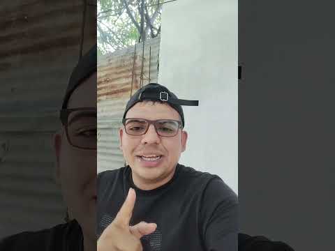 planta y parlante es el mejor proyecto económico??