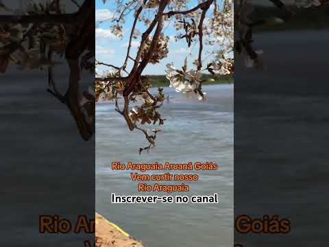 Rio Araguaia Aruanã Goiás #youtubeshorts #pescaria #pescacombambu #pesca #turismo #barcopesqueiro