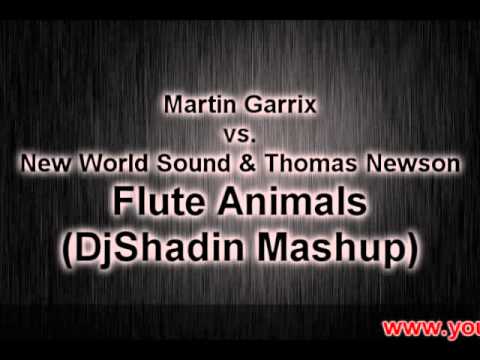Martin Garrix vs. New World Sound & Thomas Newson - Flute Animals (DjShadin Mashup)