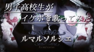 🍮ルマルソルシエ/歌ってみたver.ふぅせ