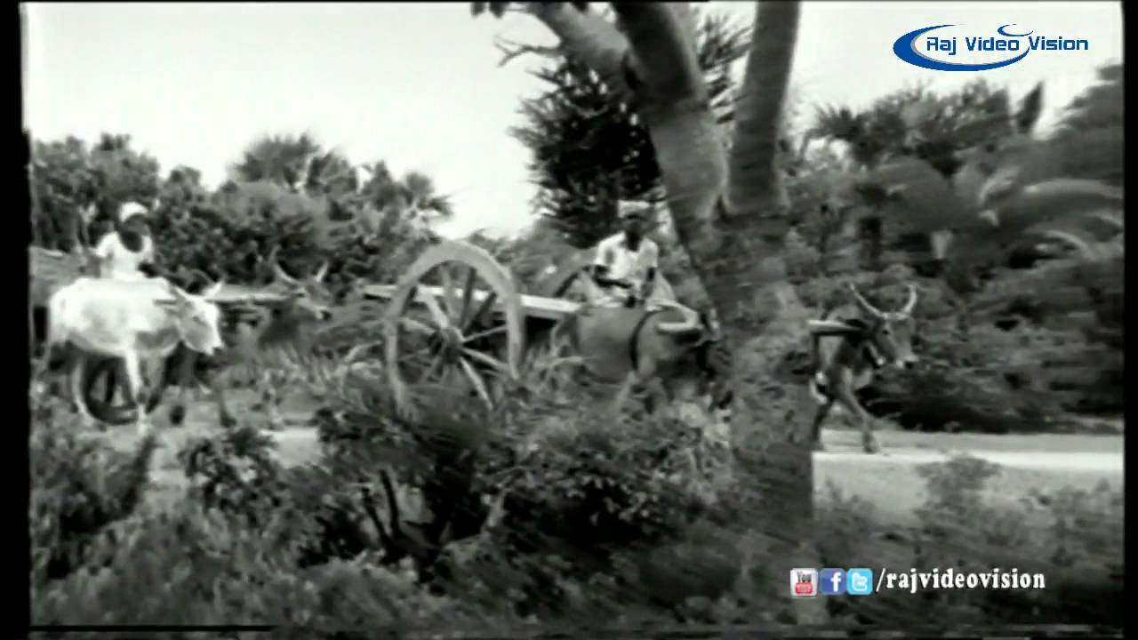 Neethiyin Kurale Song Lyrics | Makkal Kural | T. M. Soundararajan