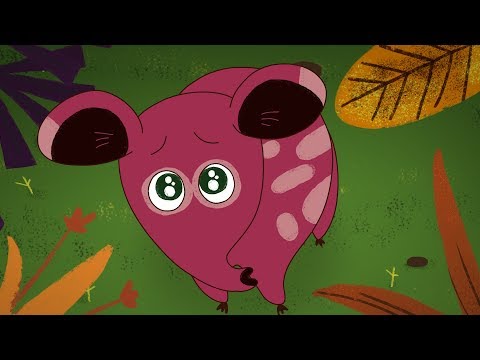 Hajótöröttek - Fogjunk halat! (7. epizód)