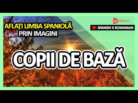 Aflați Limba Spaniolă Prin Imagini |Vocabularul Limba Spaniolă Copii De Bază | Golearn