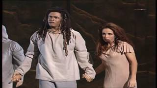 Notre Dame de Paris - Libérés