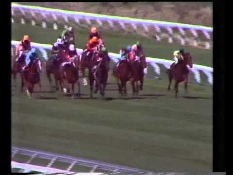 1986 Gr1 Highlands Stud Classic Cape Fillies Guineas