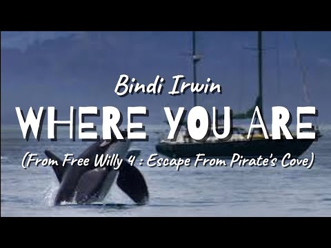 Bindi Irwin - Where You Are (From Free Willy 4 : Escape From Pirate's Cove) | (Lyrics Video)