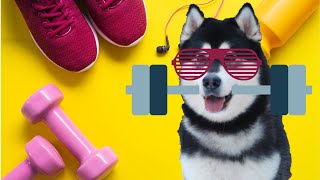 Safe Summer Training For Your Running Partner