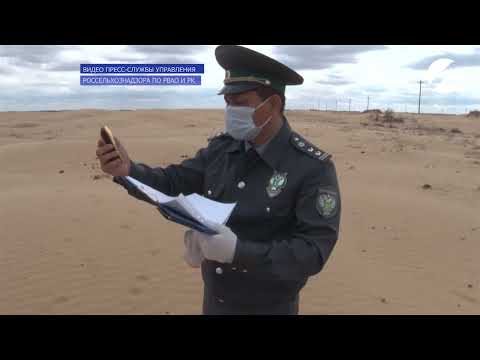 В Астраханской области Управлением Россельхознадзора установлены признаки опустынивания земель сельхозназначения 