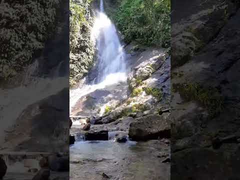 Cascada de la Mona en el municipio de San Francisco, Antioquia. #water #waterfall #cascadas