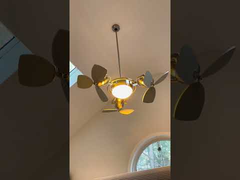 unique ceiling fans at my Mom’s
