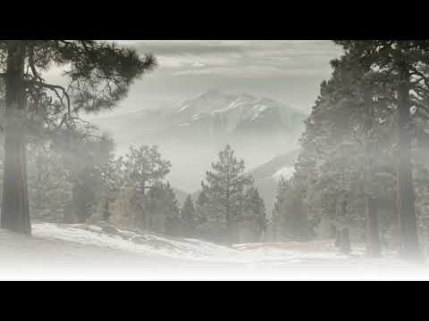 2025 Jeep Grand Cherokee Altitude X | Command Every Road with Confidence