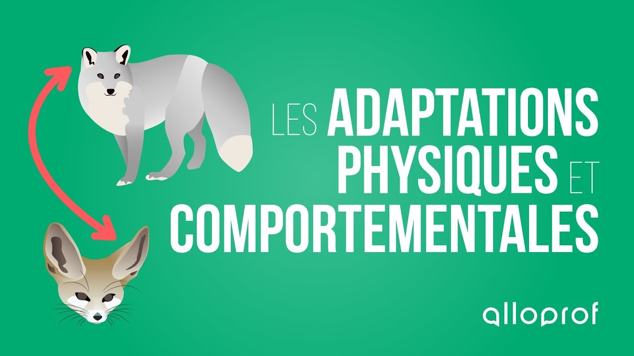 Les adaptations physiques et comportementales