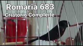 ROMARIA 683