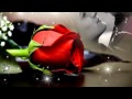 ღڪےღڰۣ  FERDA ANIL YARKIN & AYRILMAYALIM  ღڪےღڰۣ ...