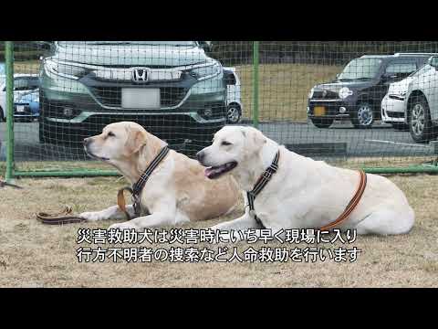 経営法学科学生による災害救助犬デモンストレーションイベント