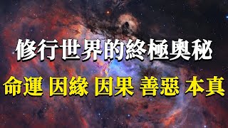 Download the video "怎樣才能真正進入修行的世界呢？99%的人一生都在門外徘徊！命運、因緣、因果、善惡、本真，開啟修行大門的五大核心要點！#能量#業力 #宇宙 #精神 #提升 #靈魂 #財富 #認知覺醒 #修行"