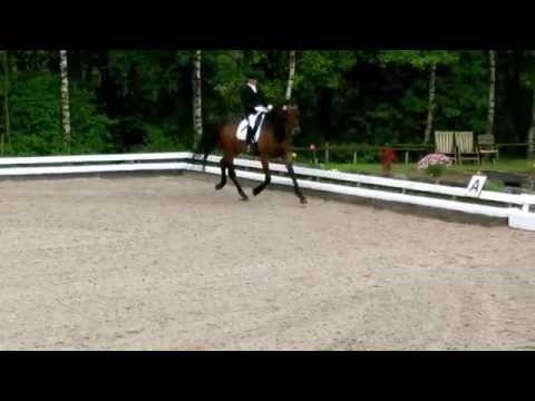 Rihanna Forever (Rock Forever x Tin Rocco)