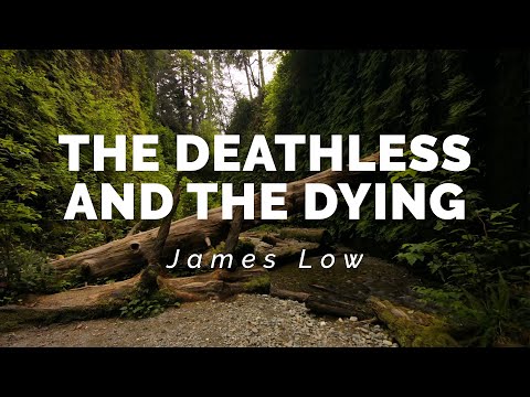 The Deathless and the Dying. London 11.2025