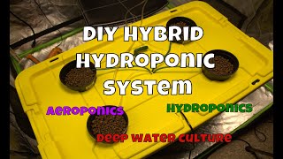 DIY Hydroponics / Aquaponics Hybrid System