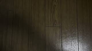 左手