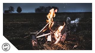 The Anix - In The End