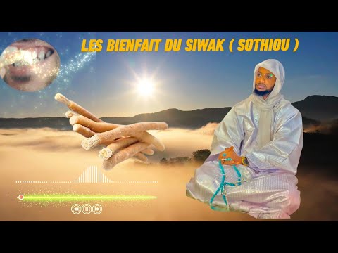 Les bienfait du siwak ( sothiou )