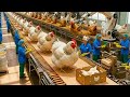 Inside A Modern Dog Food Factory From Chicken Grains To Dry Kibble Full Process