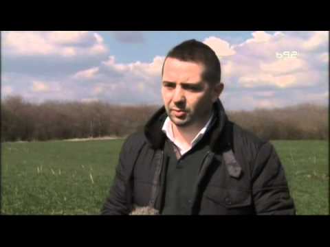 Stanje psenice i zastita u ovom momentu