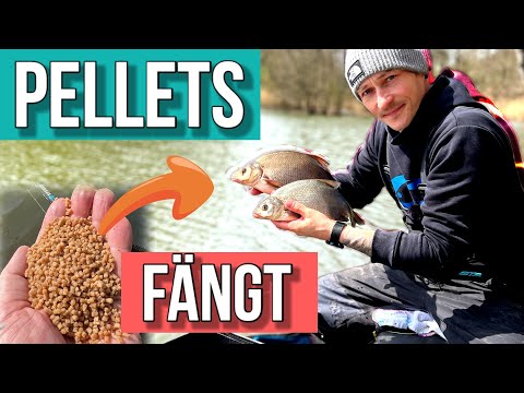 Method Feeder einfach erfolgreich !