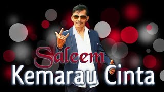 Download lagu SALEEM - Kemarau Cinta | Video Lirik mp3