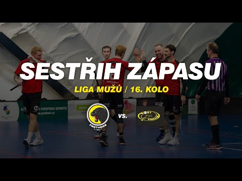 SESTŘIH | Panthers Praha Cream Team - Vosy Praha (16. kolo ligy mužů)