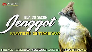 Download lagu MASTERAN CUCAK JENGGOT GACOR SUPER MEWAH DENGAN SUARA AIR DAN JEDA VIDEO mp3