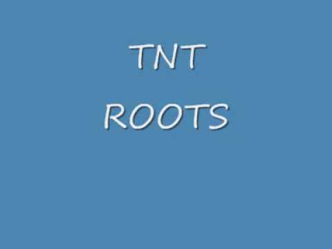 TNT  Roots     Dark Power Of The  almighty  Dub