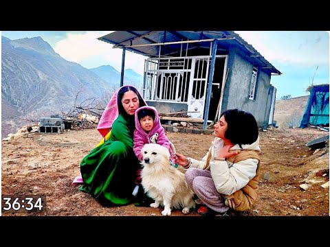 «Un día maravilloso con el nuevo perro de la familia: el comienzo de una nueva amistad»