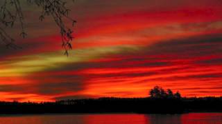 Quiet About It - Elvis Costello