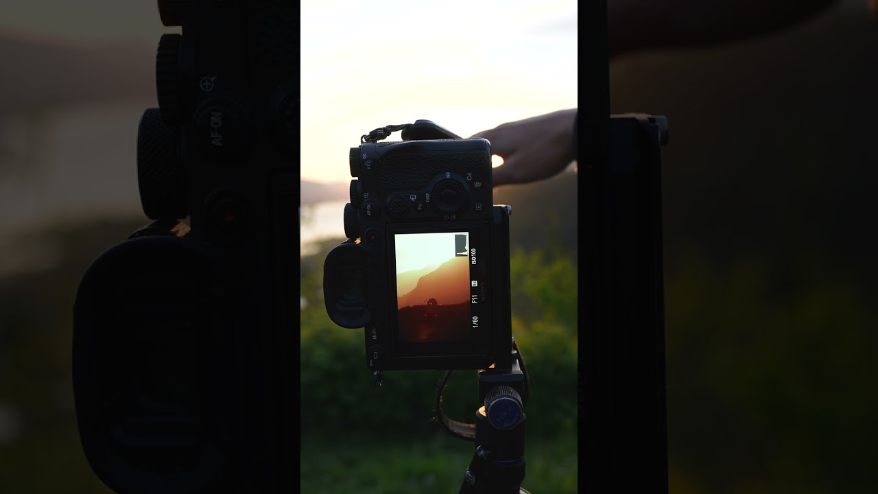 How to Avoid SUN FLARE In Your Photography