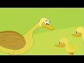 Five Little Ducks The Mandarin Wiggles Wiggly Animation Episode 12 TV Series 5