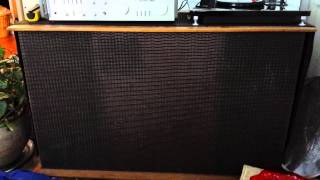 Legendary Shack Shakers Pine Tree Boogie vinyl.