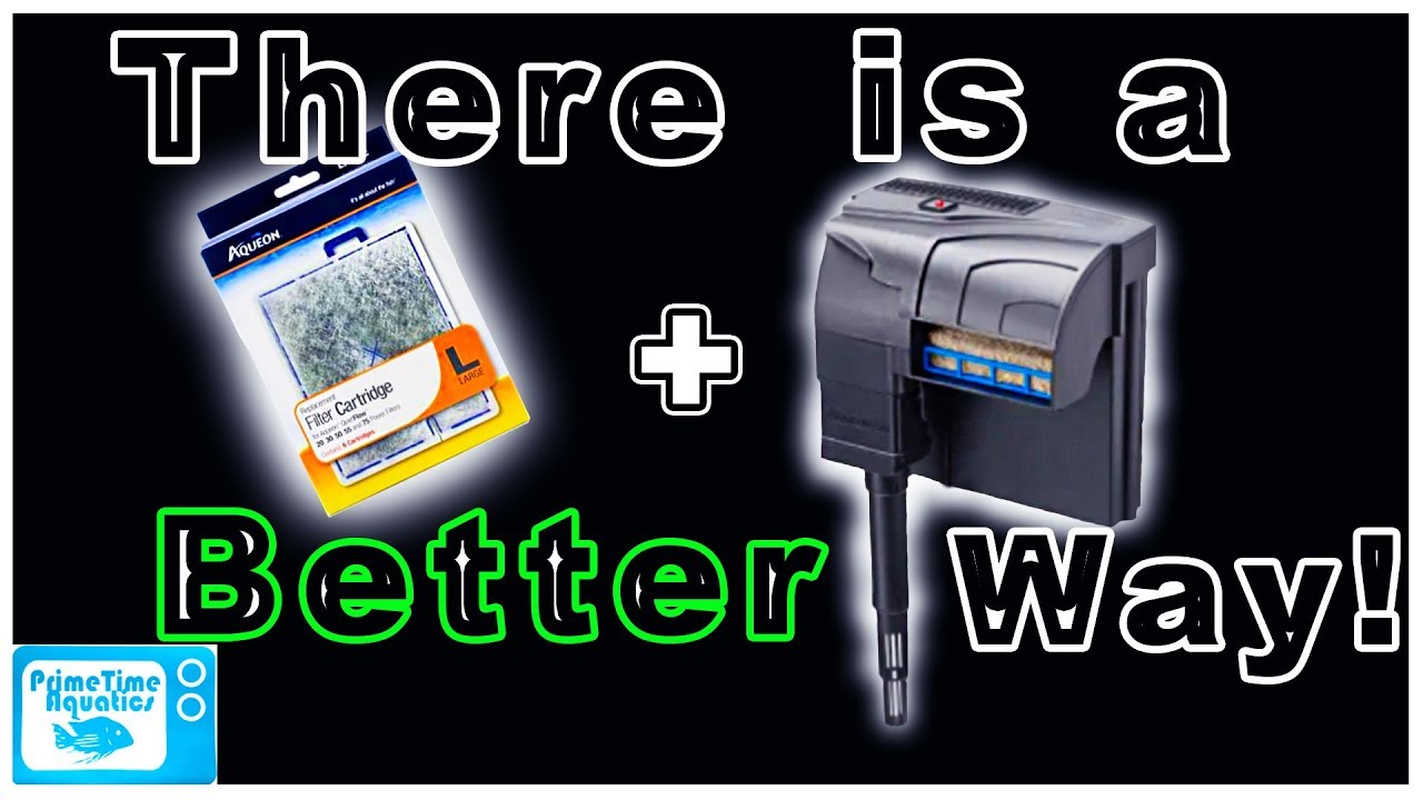 Hang on Back Filter Media: Inexpensive and Efficient Setup!