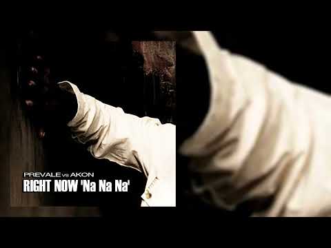 Prevale vs. Akon - Right Now ' Na Na Na ' ( Prevaloso Terzinato Mix )