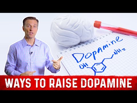 Natural Ways to Raise Dopamine Levels – Dr. Berg