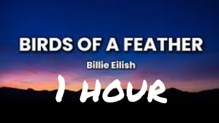 Download lagu Billie Eilish - Birds of a feather 1 hour lyrics mp3