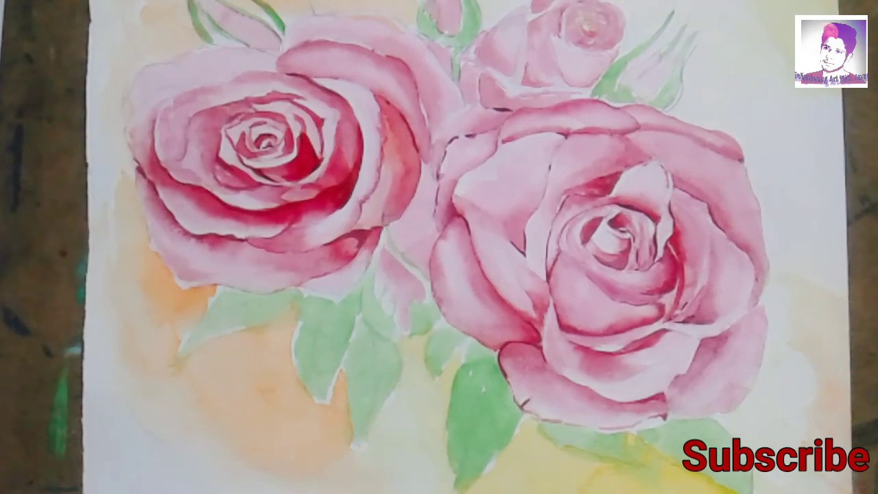 pink rose flowers watercolours