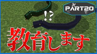 【マイクラ統合版/アドオン】恐竜の楽園を築く　Part20