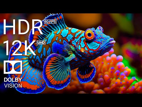 AQUARIUM 12K (60 FPS) VIDEO ULTRA HD - Beautiful Coral Reef Fish - Inspiring Cinematic Music